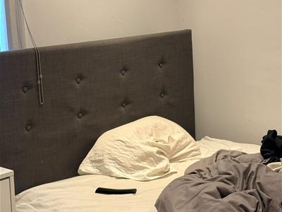 Picture 14
